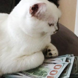 Meet your Posher, Jeannette